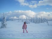 Фотография Бортников Роман