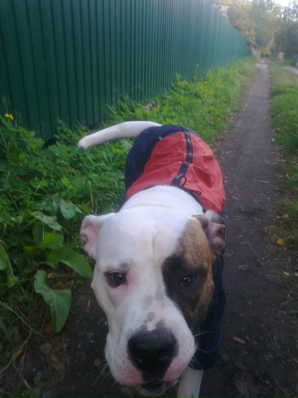 Виктор Лещенко фотография #21