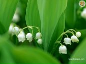 Фотография Диминой Сони