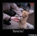 Ilsch@t Miniw@r фотография #15 (источник - https://vk.com/id123969061)