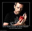 Фотография Шинкевича Андрея