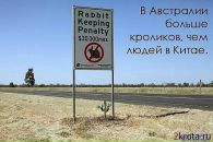 Андрій Мазепа фотография #36 (источник - https://vk.com/id89437312)