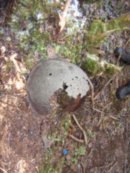 Артём Клименков фотография #20 (источник - https://vk.com/id23388)