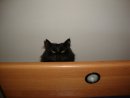 Mi Lost фотография #3 (источник - https://vk.com/id2109388)