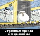 Фотография Соловьёвой Екатерины