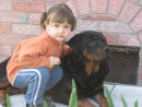 Діана Гладун фотография #11 (источник - https://vk.com/id301533058)