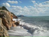 Арсен Балджи фотография #13 (источник - https://vk.com/id16894493)