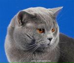 Ірина Ганущак фотография #3 (источник - https://vk.com/id57251792)