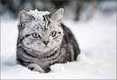 Майя Ларіна фотография #13 (источник - https://vk.com/id157767547)