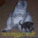 Артем Баранівський фотография #25 (источник - https://vk.com/id168123175)