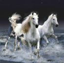 Танюшка Браніцька фотография #23 (источник - https://vk.com/id166093989)