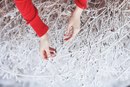 Фотография Полуянович Наталии