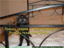 Фотография Климушкиной Анны