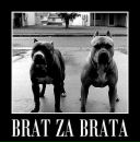 Фотография Сухова Лёши