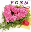 Діана Комар фотография #1