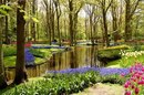 Світлана Іскрицька фотография #29 (источник - https://vk.com/id162858873)