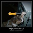 Фотография =) Niko