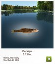 Діма Чейпеш фотография #41 (источник - https://vk.com/id160940576)
