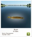 Діма Чейпеш фотография #20 (источник - https://vk.com/id160940576)