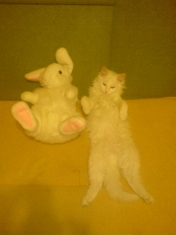 Илья Ерофеев фотография #21