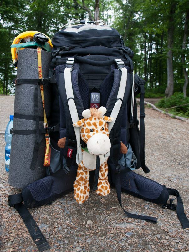 Дмитрий Жмакин фотография #14