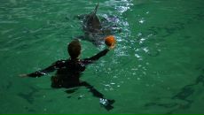 Фотография Тамбаума Артема