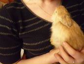 Ленчик Стрельникова фотография #23 (источник - https://vk.com/id529601)