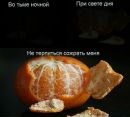 Діана Діана фотография #8 (источник - https://vk.com/id157636909)