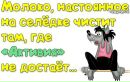 Сергей Швец фотография #2 (источник - https://vk.com/id148076591)