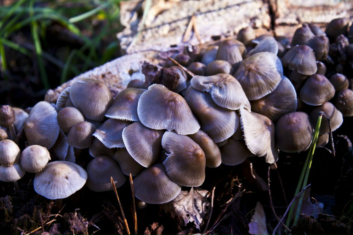 Антон Поляков фотография #18