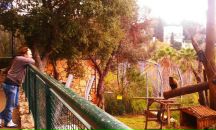 Дмитрий Сметанин фотография #47 (источник - https://vk.com/id474359)