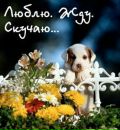 Кумановська Маріна фотография #10 (источник - https://vk.com/id165041833)