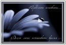 Xrystik_ Solotva фотография #16 (источник - https://vk.com/id17903929)