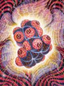 Вадім Доробалюк фотография #2 (источник - https://vk.com/id61512376)