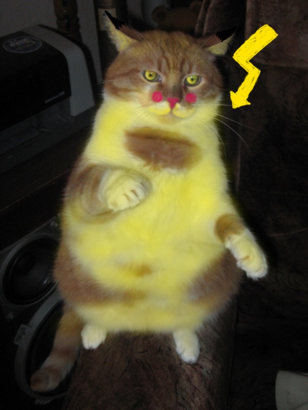 Виталий Einstein фотография #23