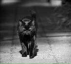 Фотография Кулаковой Екатерины