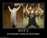 Ігор Зубенко фотография #28 (источник - https://vk.com/id1185620)
