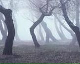 Фотография Ибляминова(Махмутова) Лилии