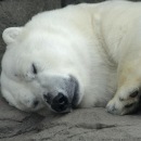 Фотография Монашкина Евгения