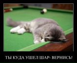 Ivan Mitell фотография #8 (источник - https://vk.com/id114979640)