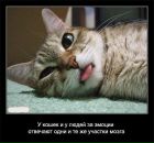 Фотография Муравьевой Дарьи