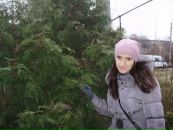 Юлія Рафальська фотография #44 (источник - https://vk.com/id46462136)