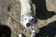 Фотография Белко Алексея