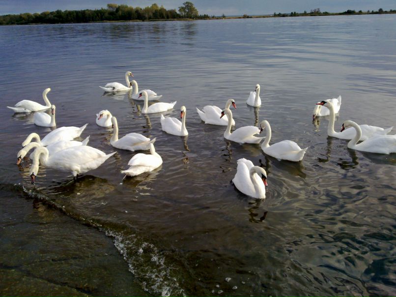 Вася Палкин фотография #6