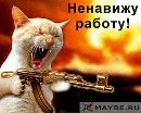 Фотография Перминова Андрея