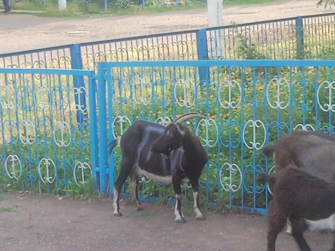 Альберт Муратов фотография #20