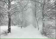 Фотография Омельченко Александра