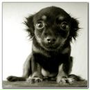 Фотография Бессердечной Жанны