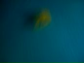 Ірина Матвійчук фотография #28 (источник - https://vk.com/id38795452)