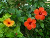 Ольга Ульева фотография #34 (источник - https://vk.com/id5898342)